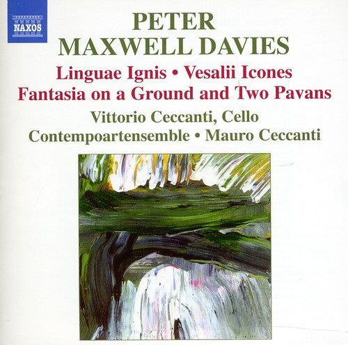 Vittorio Ceccanti: Linguae Ignis / Vesalii Icones / Fantasia - COMPACT DISCS