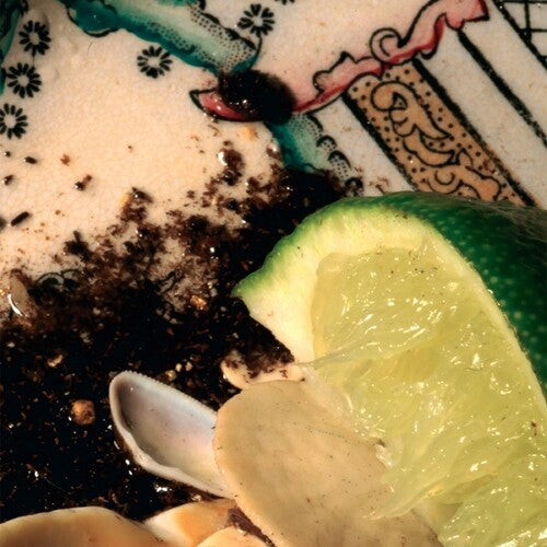 Donato Dozzy: Plays Bee Mask -VINYL