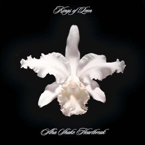 Kings of Leon: Aha Shake Heartbreak - { VINYL }
