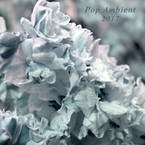 Various Artists: Pop Ambient 2017 / Various - { VINYL }
