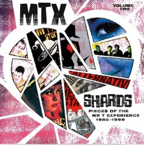 Mr T Experience: Shards Vol. 2 - { VINYL }