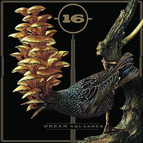 16: Dream Squasher - { VINYL }