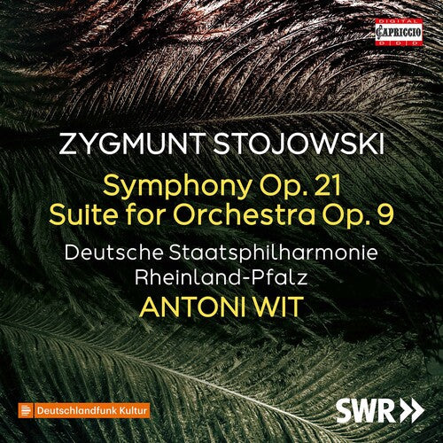 Witt: Symphony 21 - COMPACT DISCS