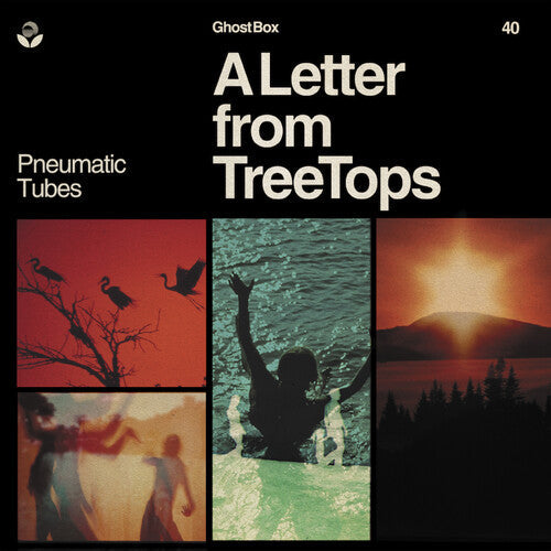 Pneumatic Tubes: Letter From Treetops - COMPACT DISCS