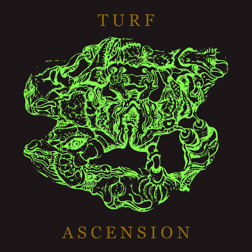 Bubblemath: Turf Ascension - COMPACT DISCS