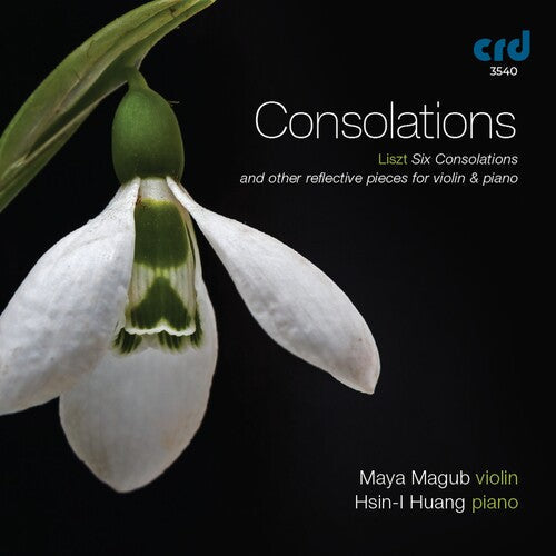 Various Artists: Consolations - COMPACT DISCS