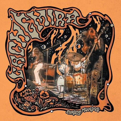 Cachemira: Ambos Mundos - { VINYL }