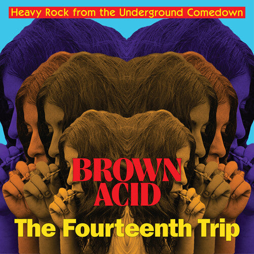 Various Artists: Brown Acid - Fourteenth Trip (various Artists) - COMPACT DISCS