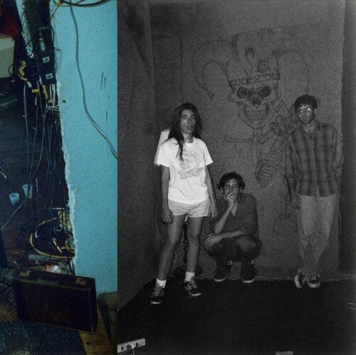 Harry Pussy: You'll Never Play This Town Again -VINYL