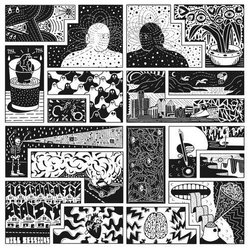 Will Sessions: Electromagnetic Reality - COMPACT DISCS