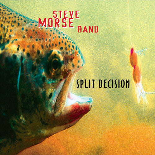 Steve Morse Band: Split Decision - COMPACT DISCS