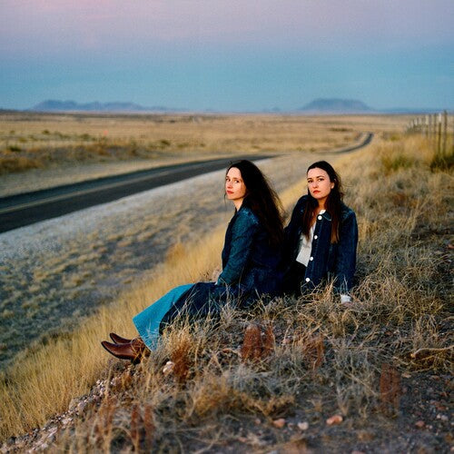 Plains: I Walked With You A Ways -VINYL