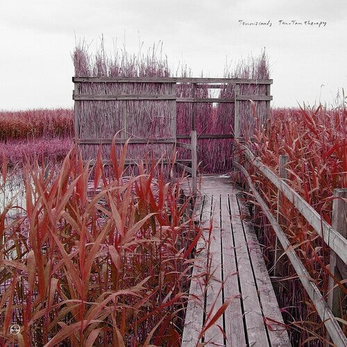 Tenniscoats: Tan-Tan Therapy -VINYL