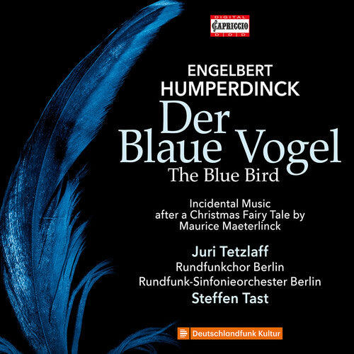 Tast, Stef: Der Blaue Vogel - COMPACT DISCS