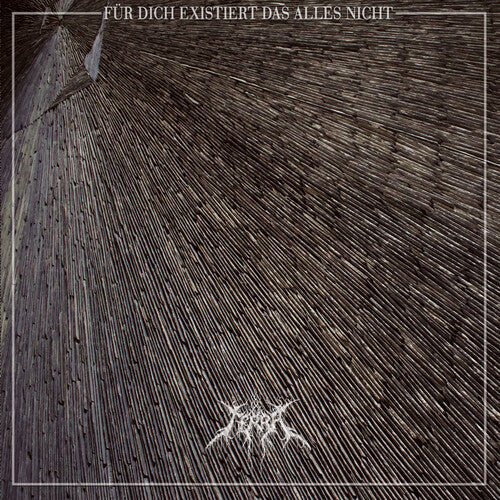 Terra and the Choir of Bones: Fur Dich Existiert Das Alles Nicht - COMPACT DISCS
