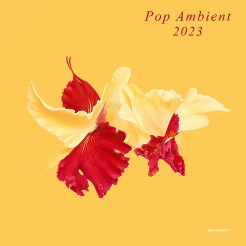 Various Artists: Pop Ambient 2023 - COMPACT DISCS