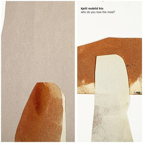 Kjetil Mulelid: Who Do You Love The Most? -VINYL