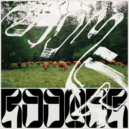 Roomer: Skice - 10-Inch - { VINYL }