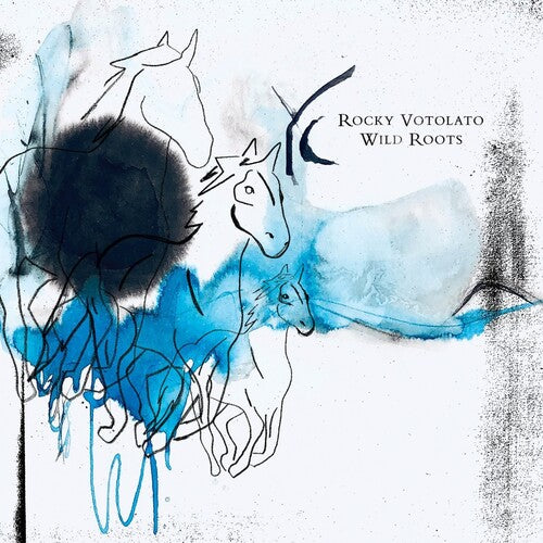 Rocky Votolato: Wild Roots -VINYL