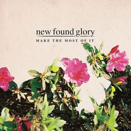 New Found Glory: Make The Most Of It -VINYL