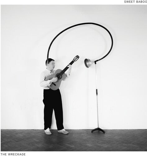 Sweet Baboo: The Wreckage - COMPACT DISCS