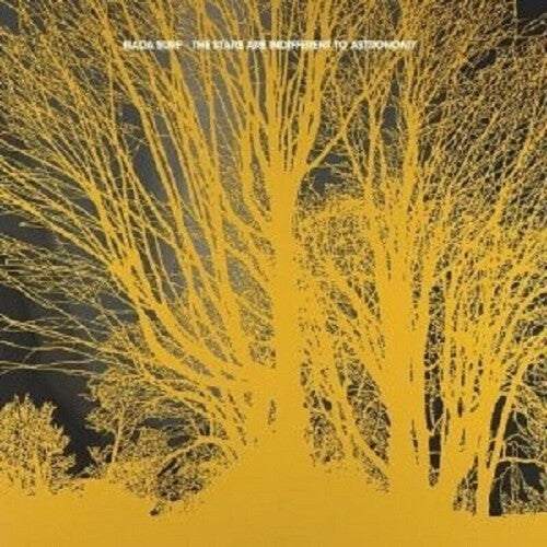 Nada Surf: Stars Are Indifferent To Astronomy -VINYL
