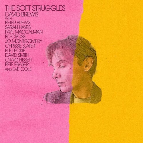 David Brewis: The Soft Struggles - { VINYL }