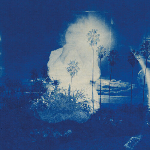 Fruit Bats: A River Running to Your Heart -VINYL