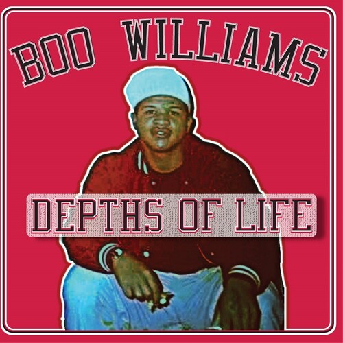 Boo Williams: Family Affair Vol. 1 (Various Artists) -VINYL