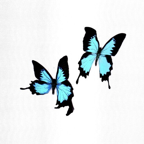 Korine: Tear - { VINYL }