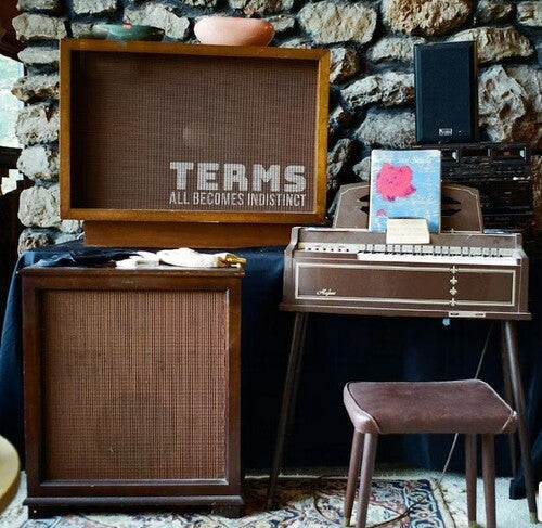 Terms: All Becomes Indistinct -VINYL