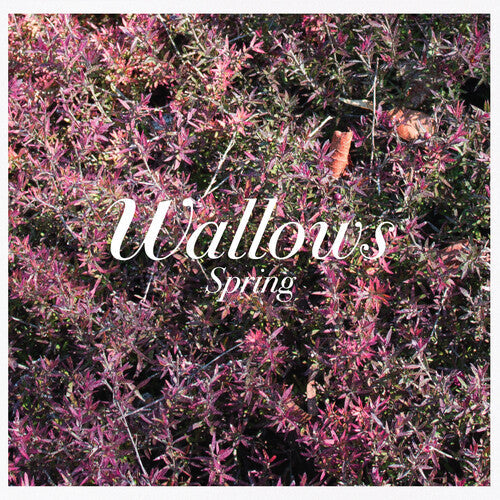 Wallows: Spring - COMPACT DISCS