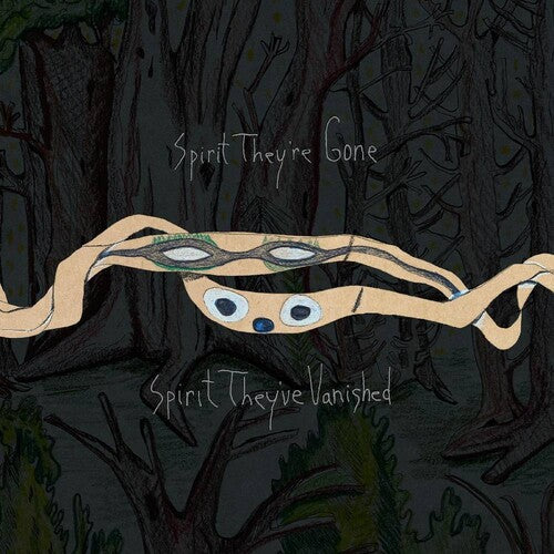 Animal Collective: Spirit They're Gone Spirit They've Vanished -VINYL