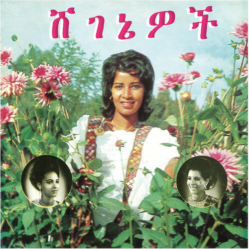 Aselefech Ashine: Beauties -VINYL