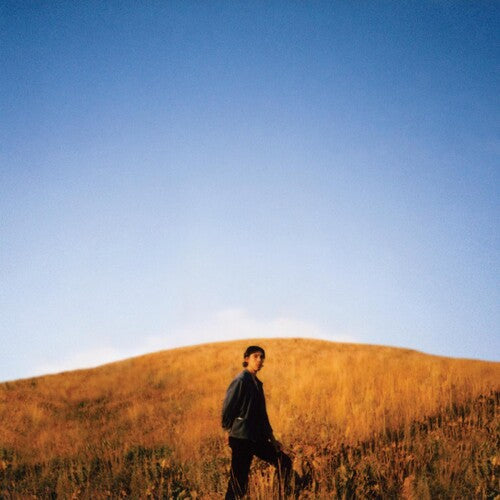 Sam Burton: Dear Departed -VINYL