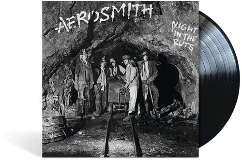 Aerosmith: Night In The Ruts -VINYL