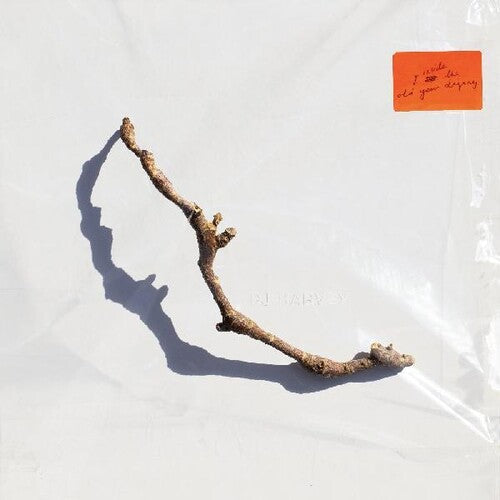 PJ Harvey: I Inside The Old Year Dying -VINYL