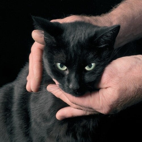 Peter Kernel: White Death, Black Heart -VINYL