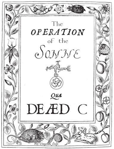 The Dead C: Operation Of The Sonne - { VINYL }