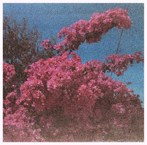 Elisabeth Klinck: Picture A Frame -VINYL