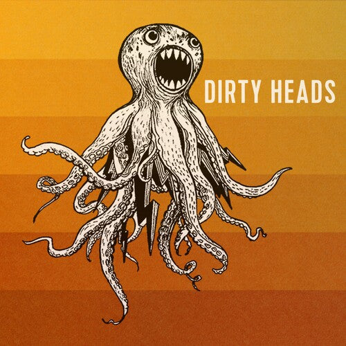Dirty Heads: Dirty Heads -VINYL