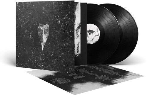 Bees Made Honey in the Vein Tree: Aion - { VINYL }