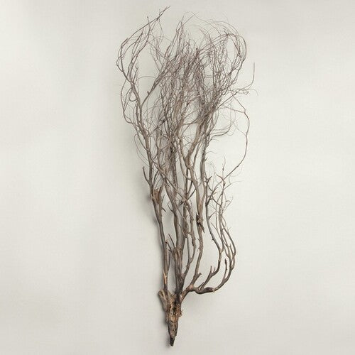 Mary Jane Leach: Woodwind Multiples -VINYL