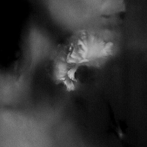 Holding Absence: Holding Absence -VINYL