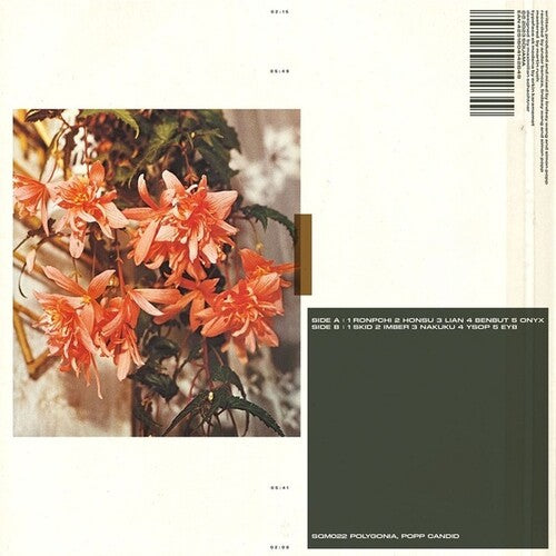 Popp Polygonia: Candid -VINYL