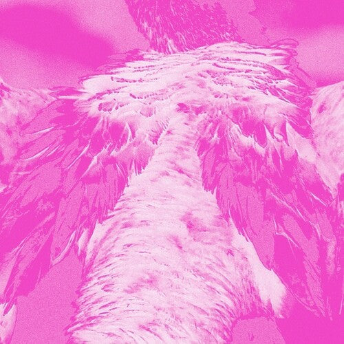 Kate Carr: A field guide to phantasmic birds - COMPACT DISCS