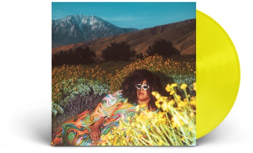 Brittany Howard: What Now -VINYL