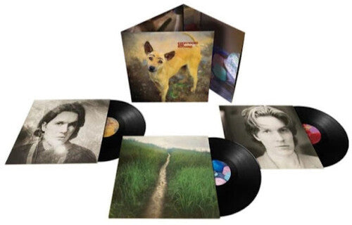 David Sylvian: Everything & Nothing - { VINYL }