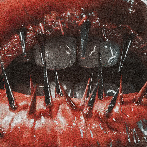 Saltwound: The Temptation of Pain - CD