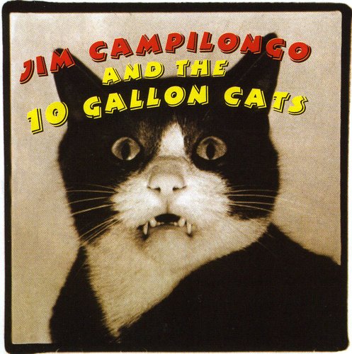 Jim Campilongo & 10 Gallon Cat: Jim Campilongo & The 10 Gallon Cats - COMPACT DISCS